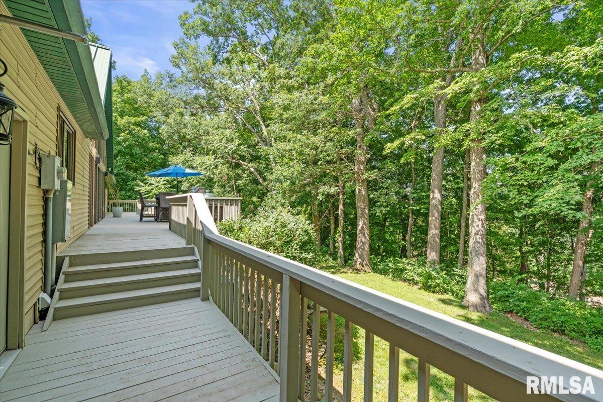 5626 Irwin Bridge Road Pleasant Plains, IL 62677 - Photo 61 of 73 Gallery Image 61