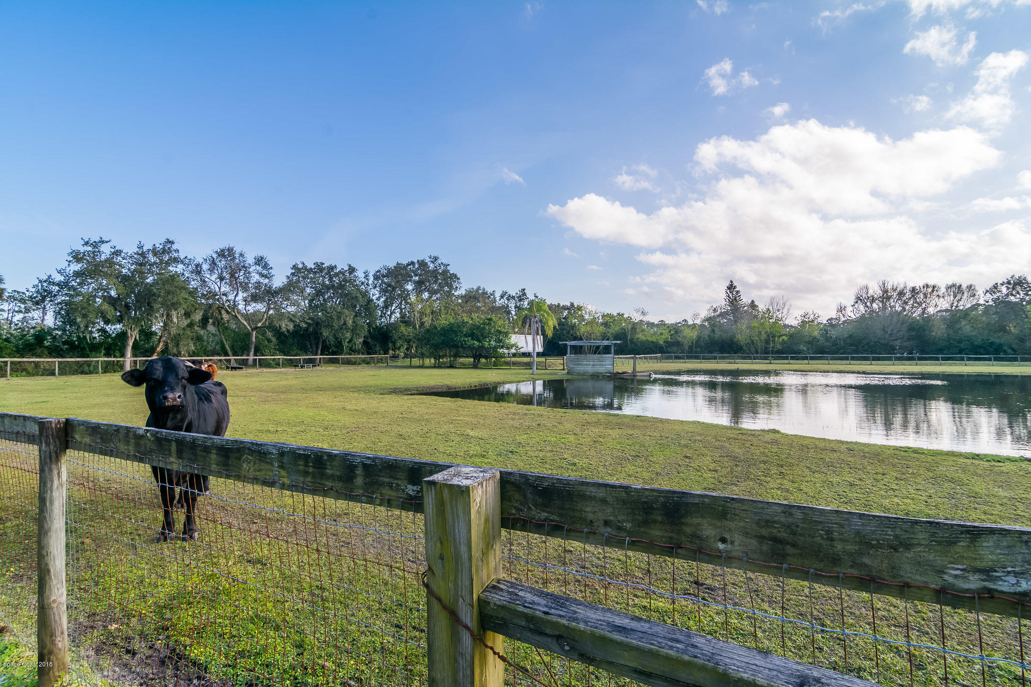3775 Hield Road Melbourne, FL 32904 - Photo 65 of 86 Lake & Property
