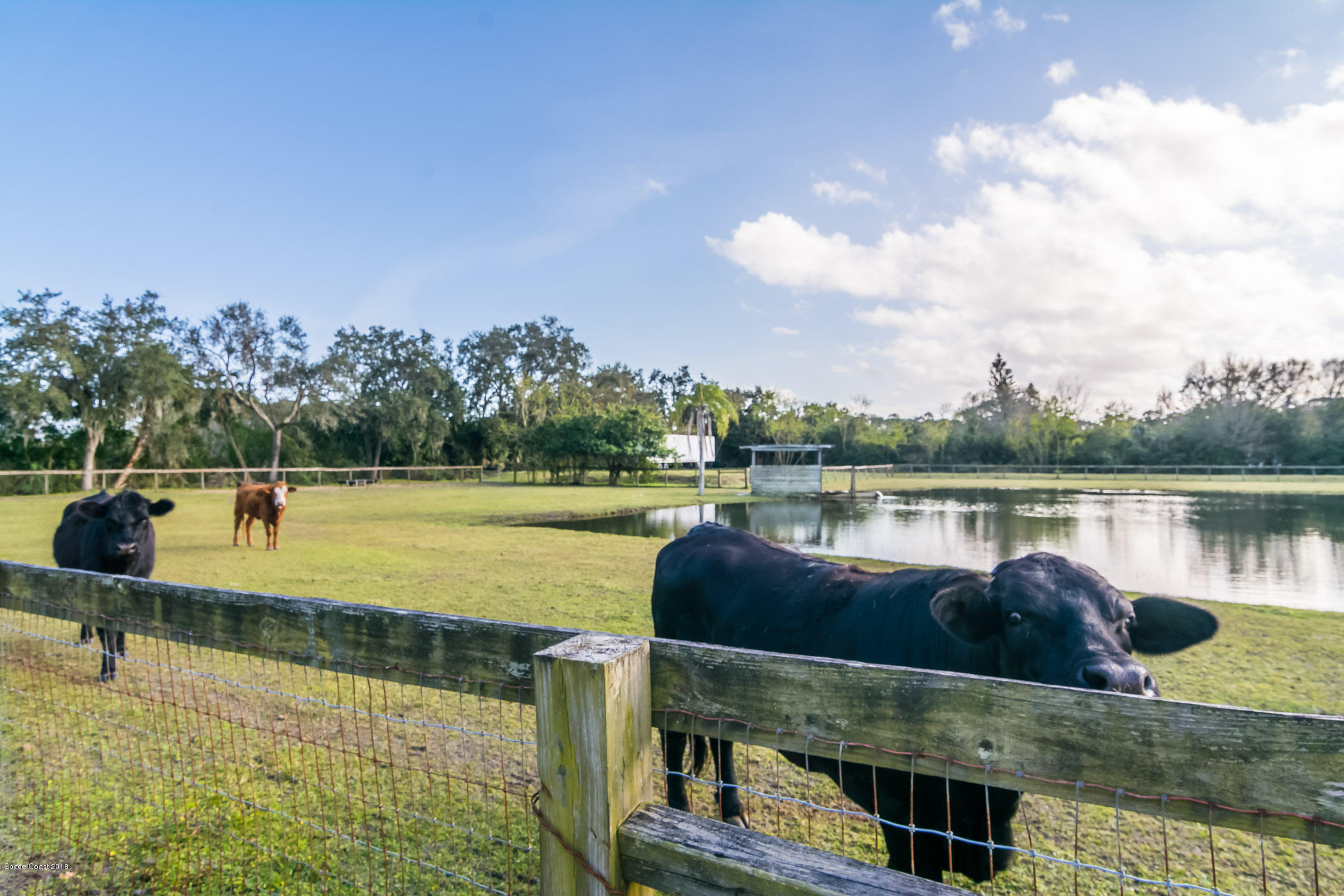 3775 Hield Road Melbourne, FL 32904 - Photo 66 of 86 Property