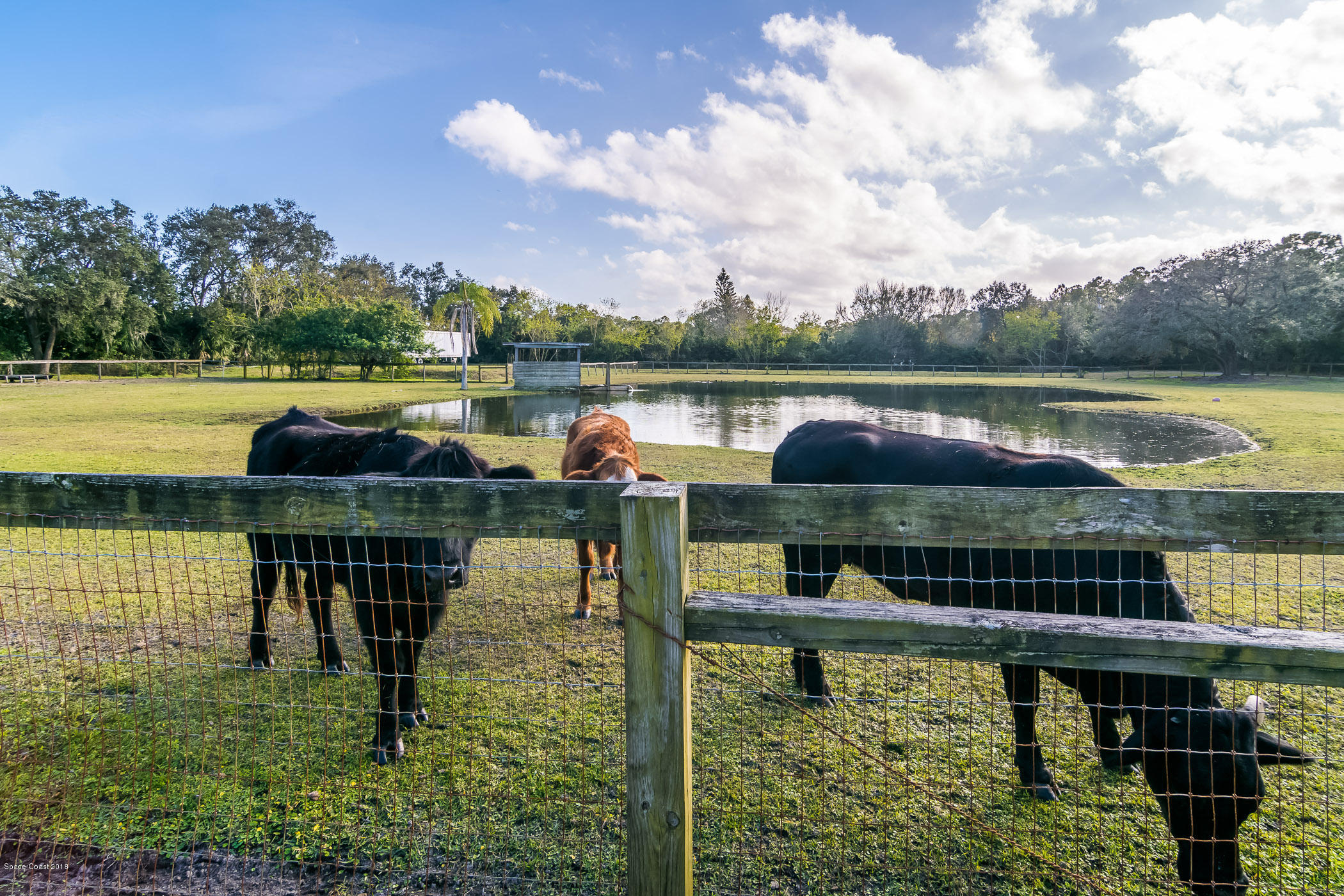 3775 Hield Road Melbourne, FL 32904 - Photo 67 of 86 Property