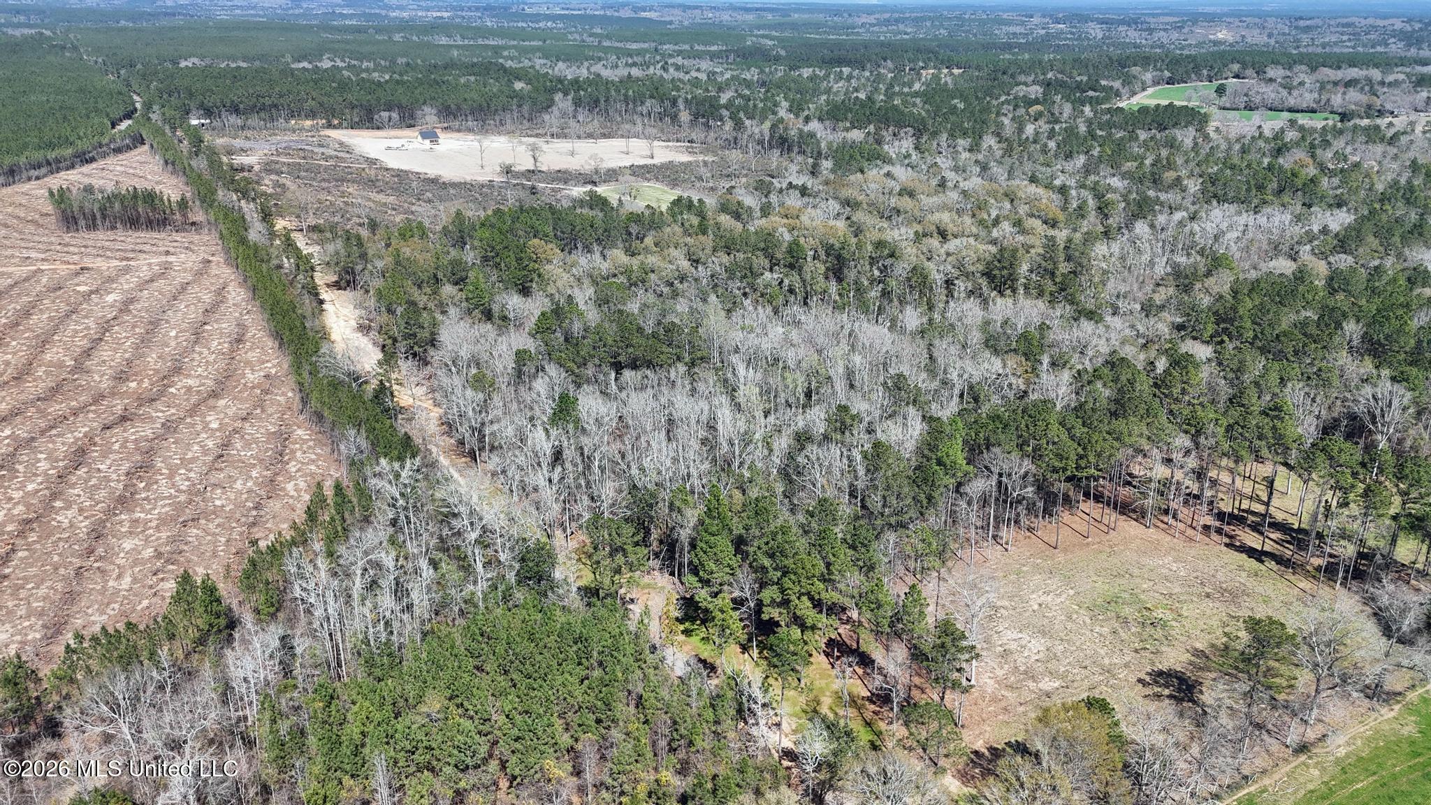 21.8-acres Flournoy Road Lucedale, MS 39452 - Photo 5 of 20 010