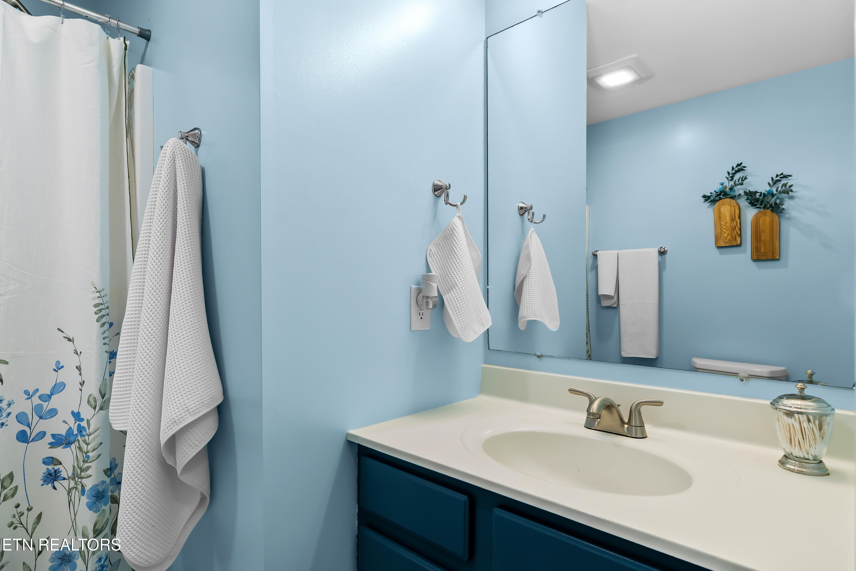 103 Rouen Court Maryville, TN 37801 - Photo 21 of 33 Hall Bathroom