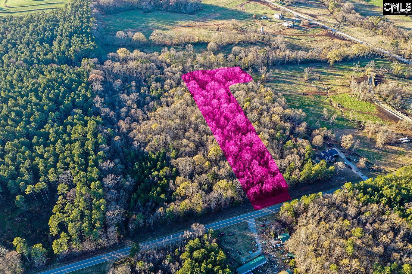 0 Rocky Creek Road Newberry, SC 29108 - Photo 17 of 25