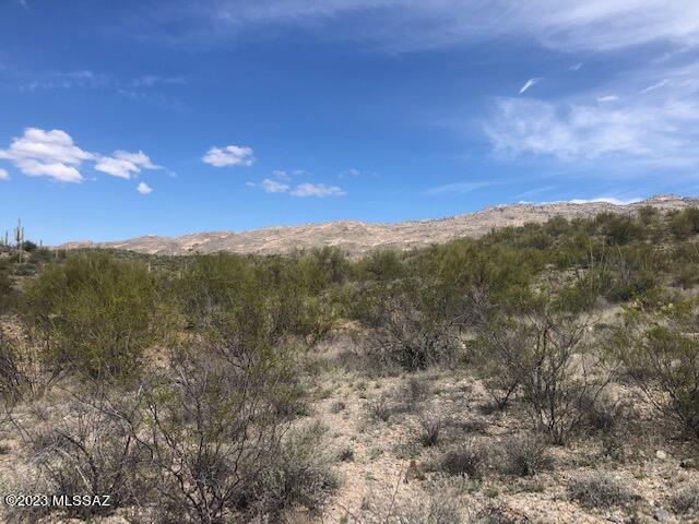 East Rincon Creek Ranch Road, Unit B Tucson, AZ 85747 - Photo 4 of 10