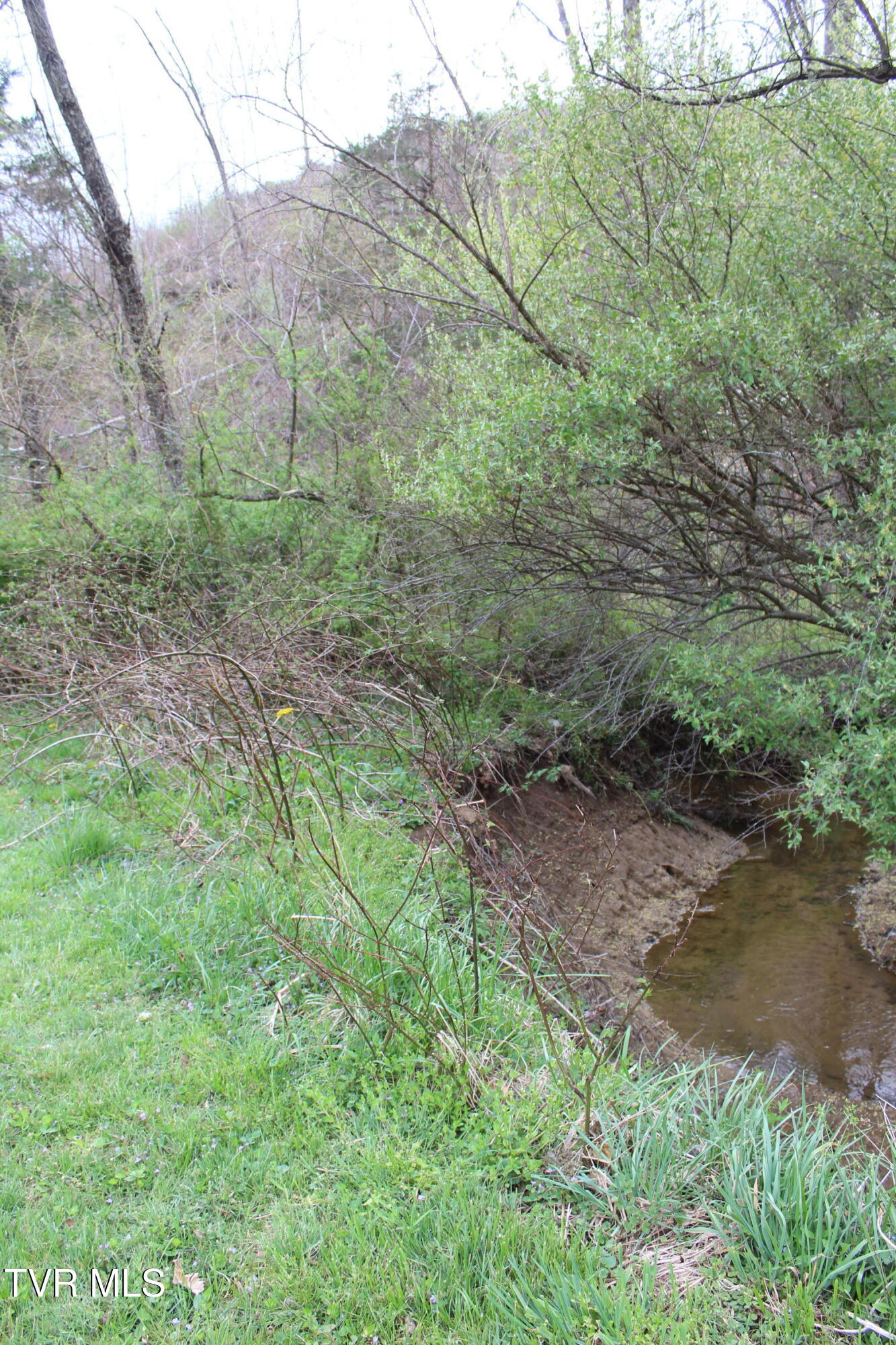 0 Reeds Creek Road, Unit 1 & 2 Keokee, VA 24265 - Photo 3 of 4 IMG_6713