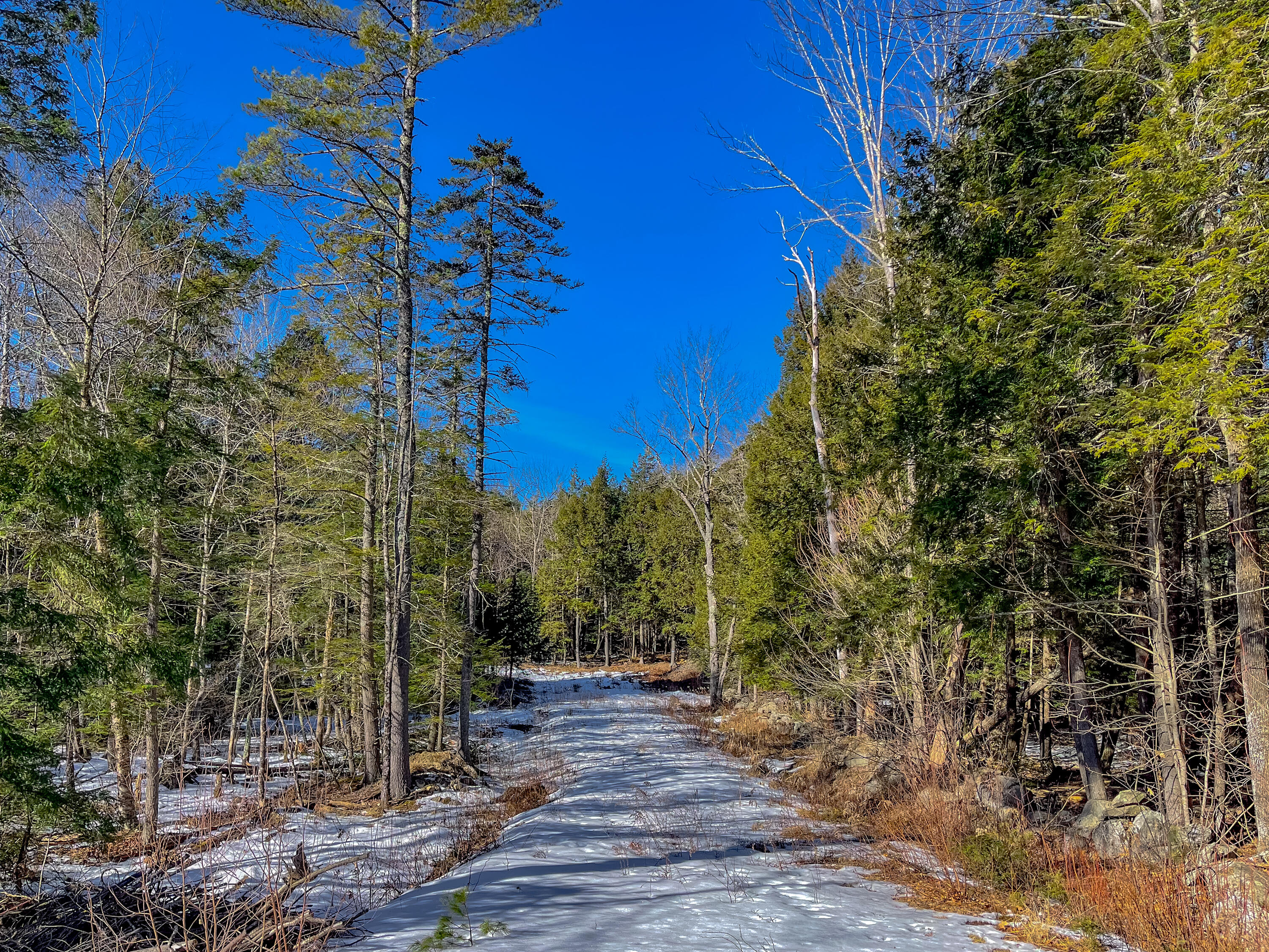 Lot #2 Augusta Road Bowdoin, ME 04287 - Photo 12 of 24 Lot #2B Augusta Road Bowdoin 012