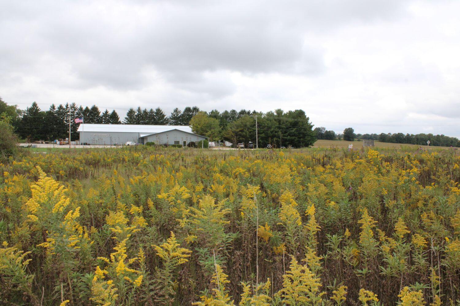 view from back of lot