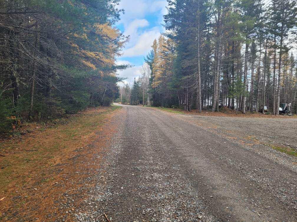 0 Fothingill Road Greenbush, ME 04418 - Photo 7 of 22 Resized952021103195142930