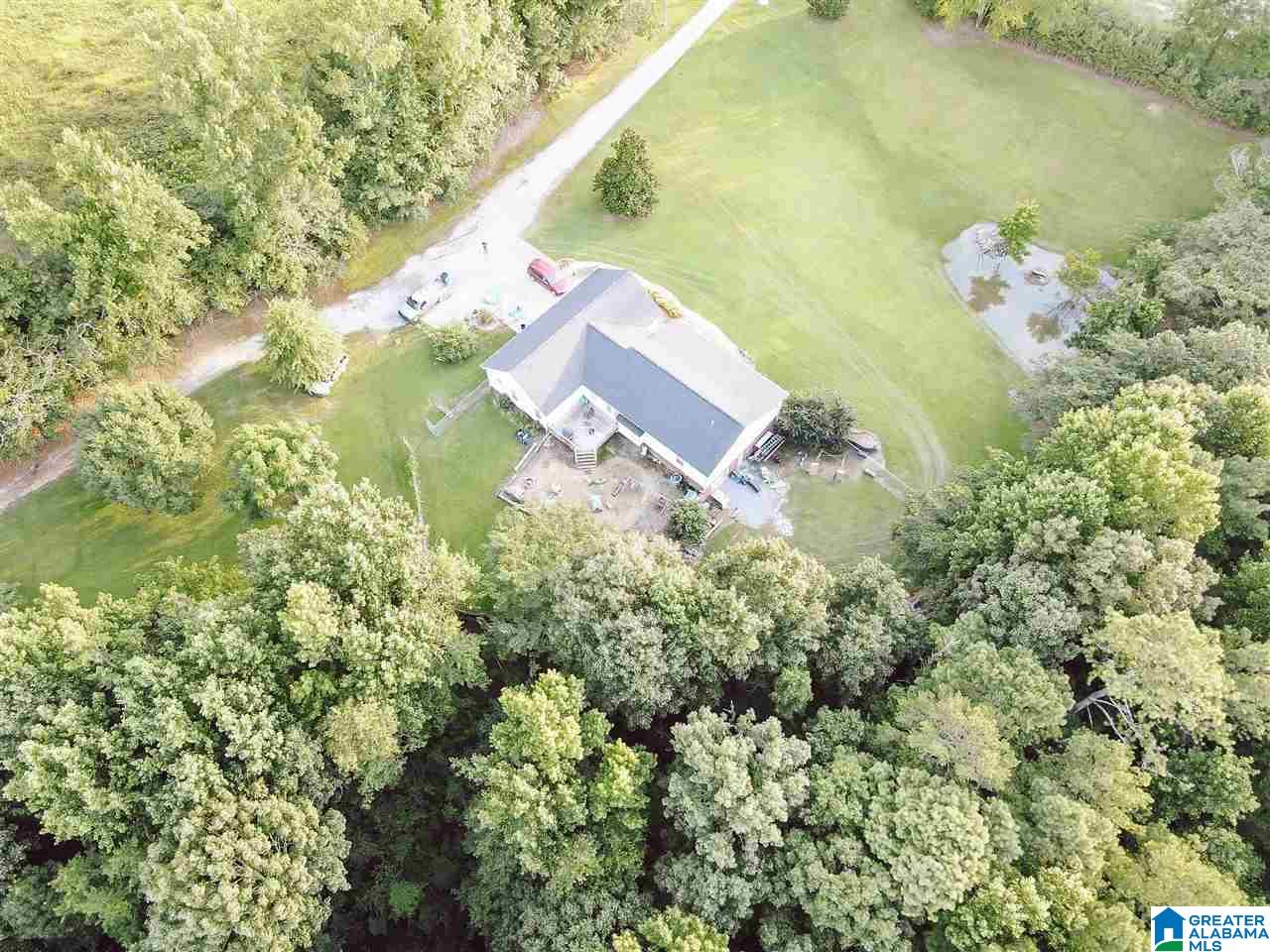 4000 County Road 20 Oneonta, AL 35121 - Photo 19 of 48