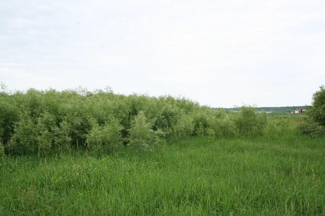 Lt1 Lt1 Monroe Road Neosho, WI 53059 - Photo 1 of 1 Monroe Land pic2