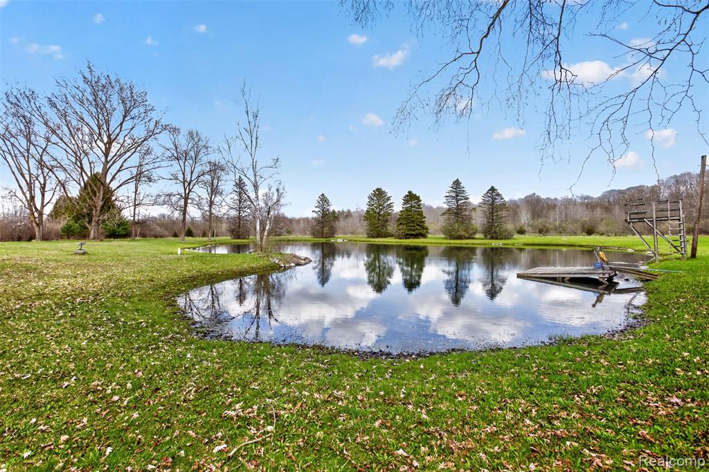8197 Irish Road Millington, MI 48746 - Photo 10 of 58