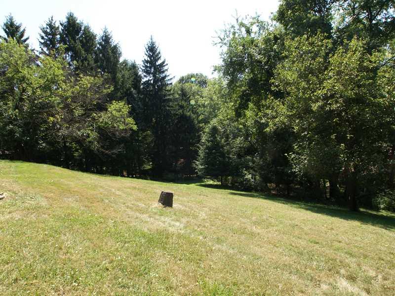 425 Sangree Road Pittsburgh, PA 15237 - Photo 17 of 19 Yard/Garden.