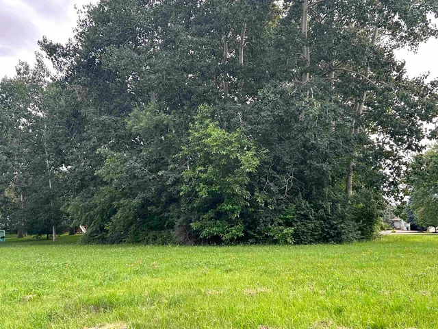 a view of a green yard