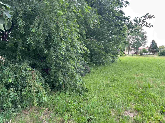 a view of yard with green space