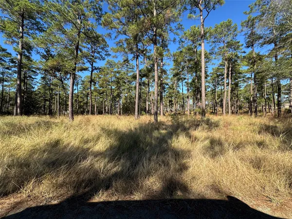 $50,000 | 65 Private Road 6026, Brookeland, TX 75931