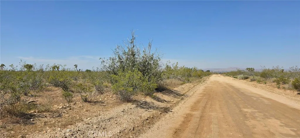 0 175th Street Palmdale, CA 93591 - Photo 14 of 16 a view of a yard