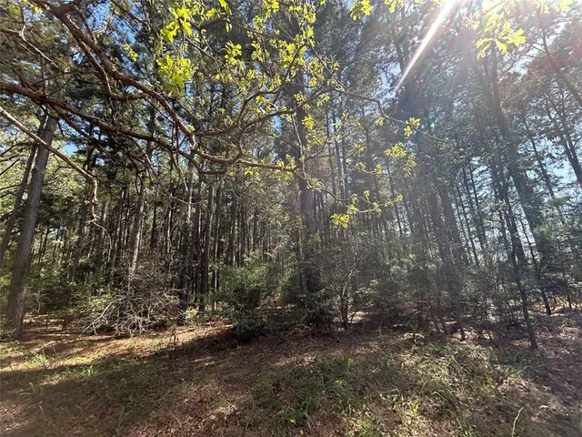 $80,000 | 2303 An County Road, Montalba, TX 75853