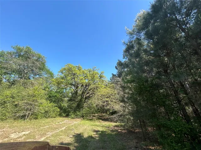 $80,000 | 2303 An County Road, Montalba, TX 75853