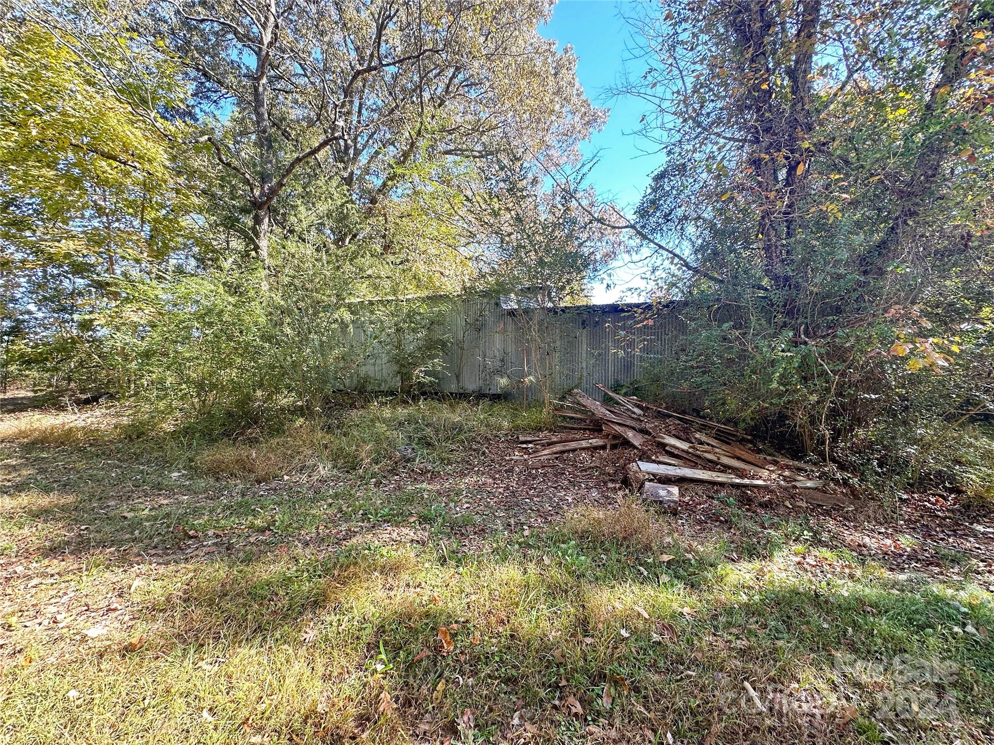 1033 Okeewemee Star Road Star, NC 27356 - Photo 6 of 9 a view of a yard with plants and a large tree