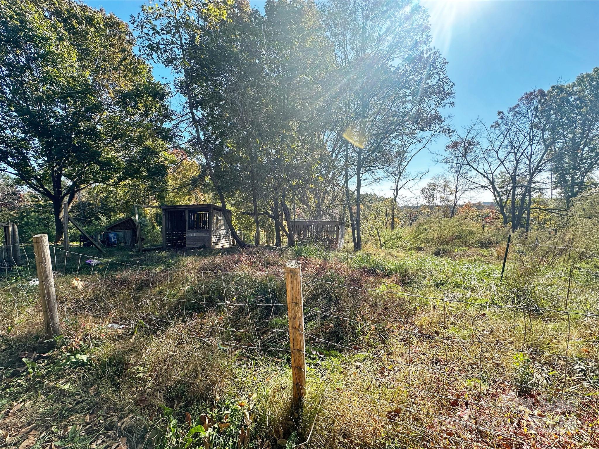 1033 Okeewemee Star Road Star, NC 27356 - Photo 7 of 9 a backyard of a house with lots of green space