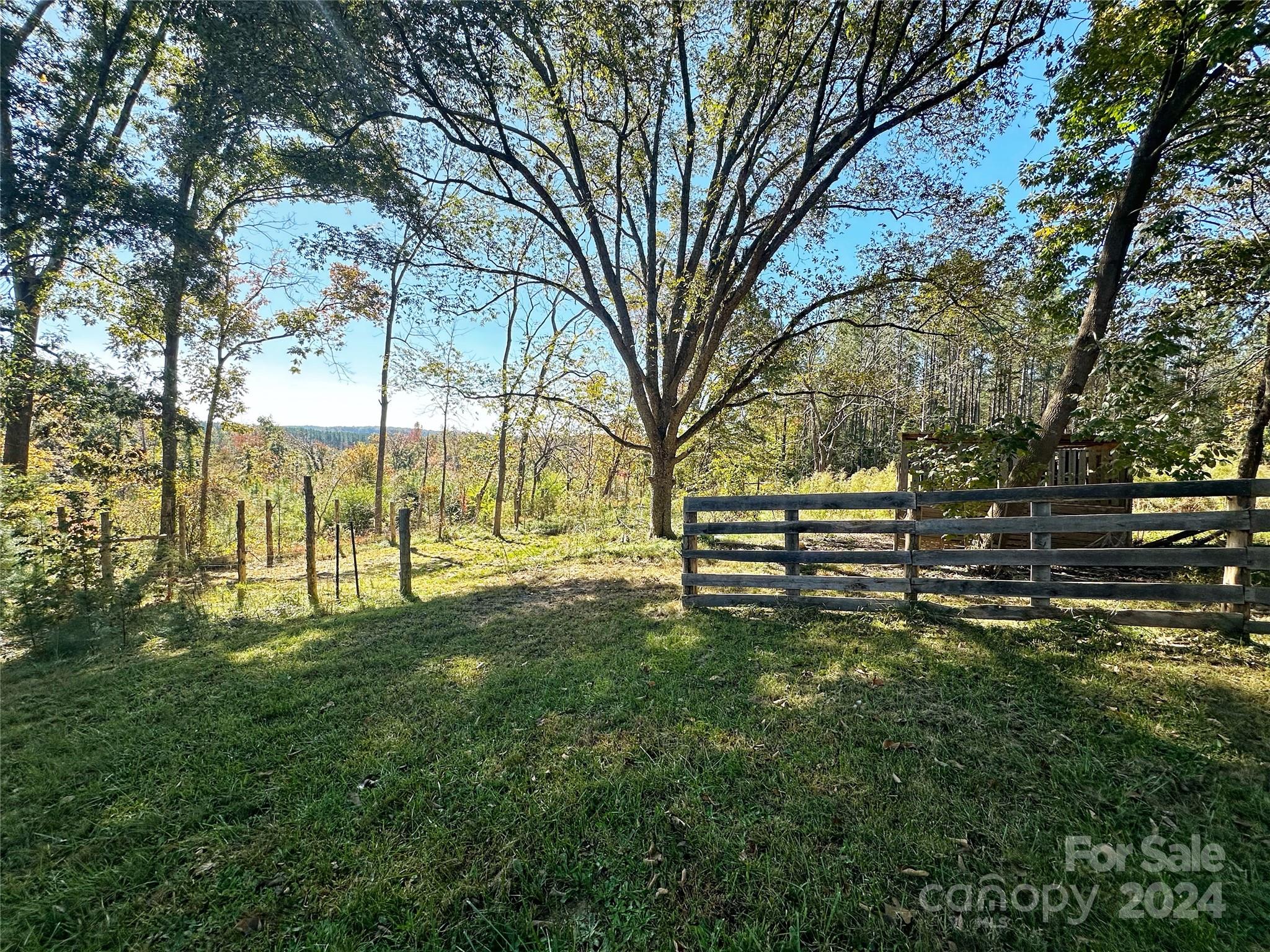 1033 Okeewemee Star Road Star, NC 27356 - Photo 9 of 9 a view of a park with large trees