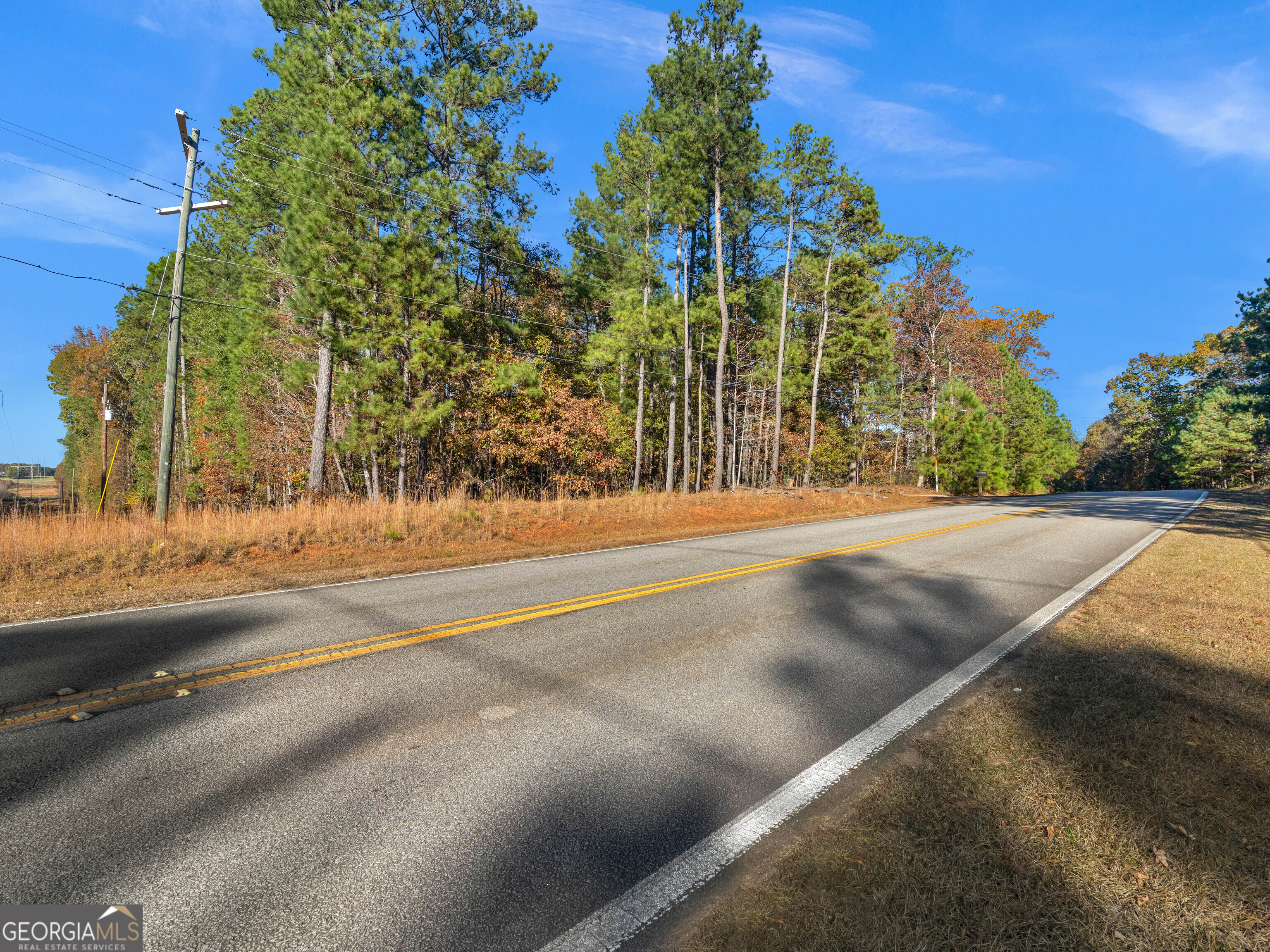 0 Freeman Road Hampton, GA 30228 - Photo 4 of 6 a view of street with trees