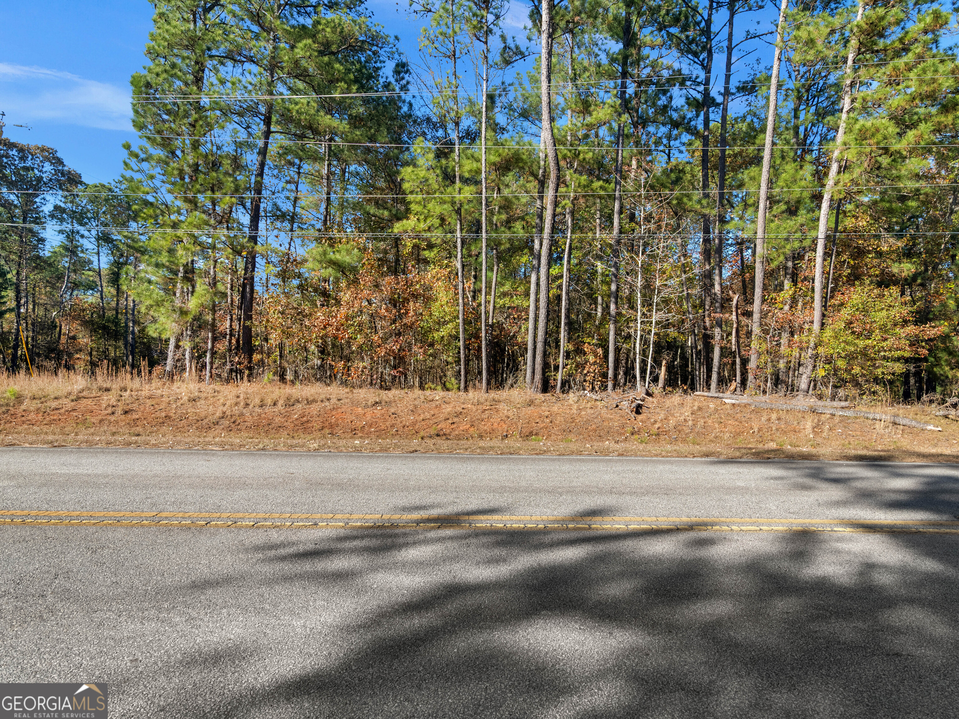 0 Freeman Road Hampton, GA 30228 - Photo 5 of 6 a view of road with trees