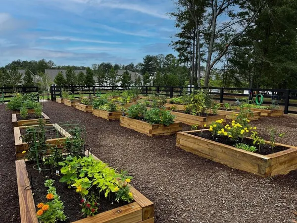 $650,000 | 4024 Great Pine Drive, Gainesville, GA 30504