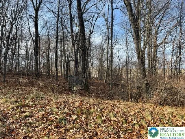a view of backyard with green space