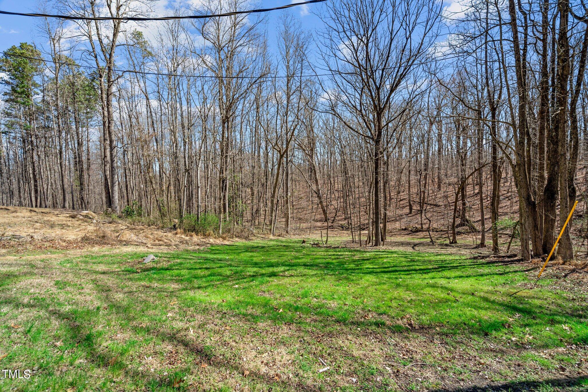 223 Gentry Street Roxboro, NC 27573 - Photo 27 of 36 a backyard of a house with lots of green space