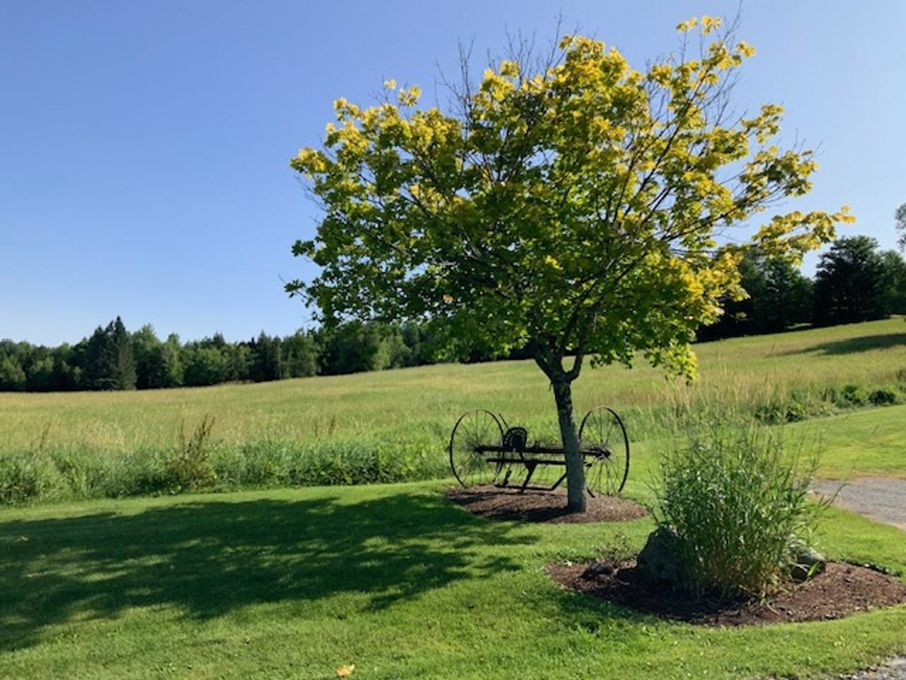 4033 East Warren Road Warren, VT 05674 - Photo 29 of 30 Gallery Image 29
