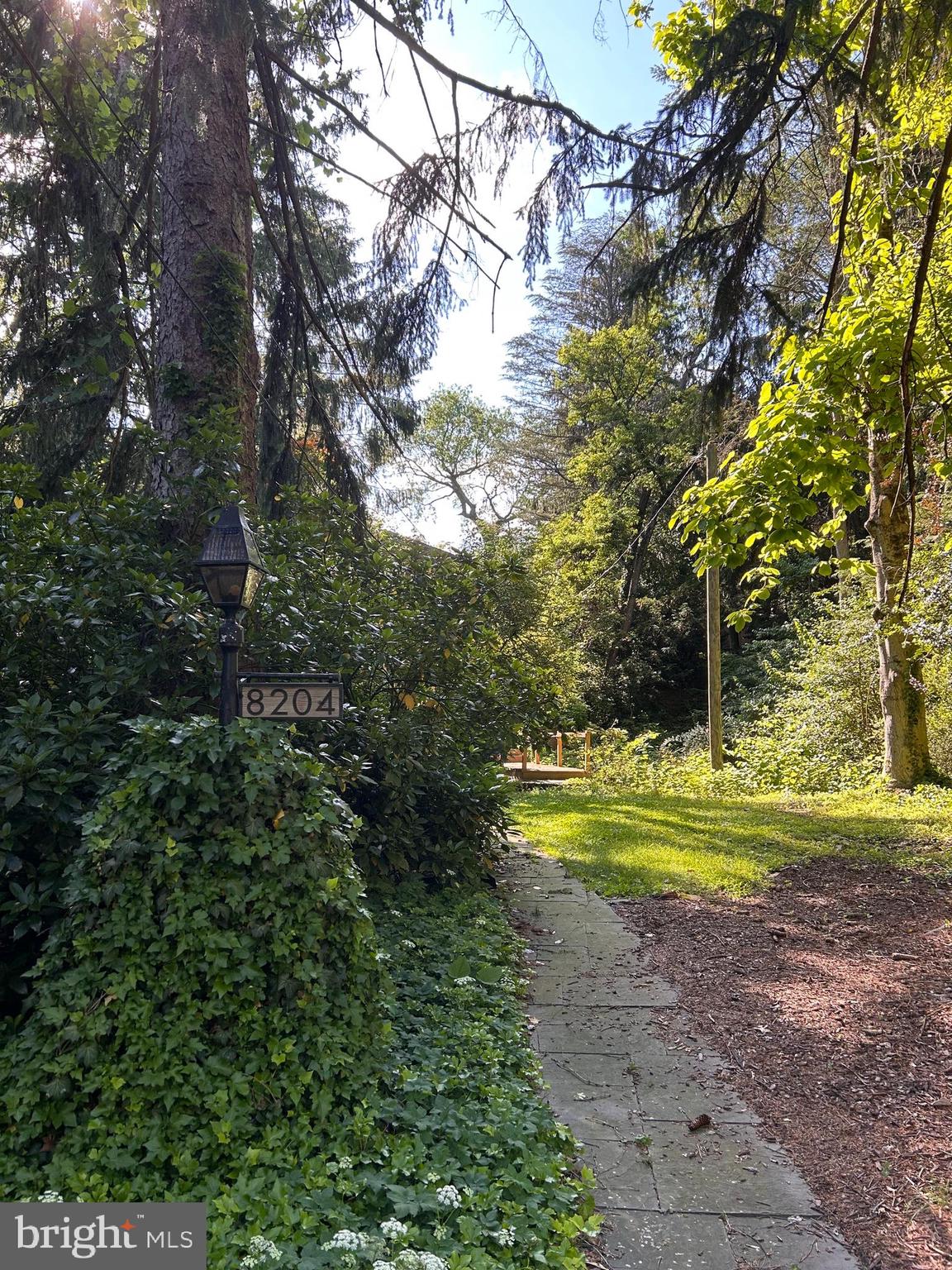 8204 Brookside Road Elkins Park, PA 19027 - Photo 19 of 20 a view of a yard with an trees