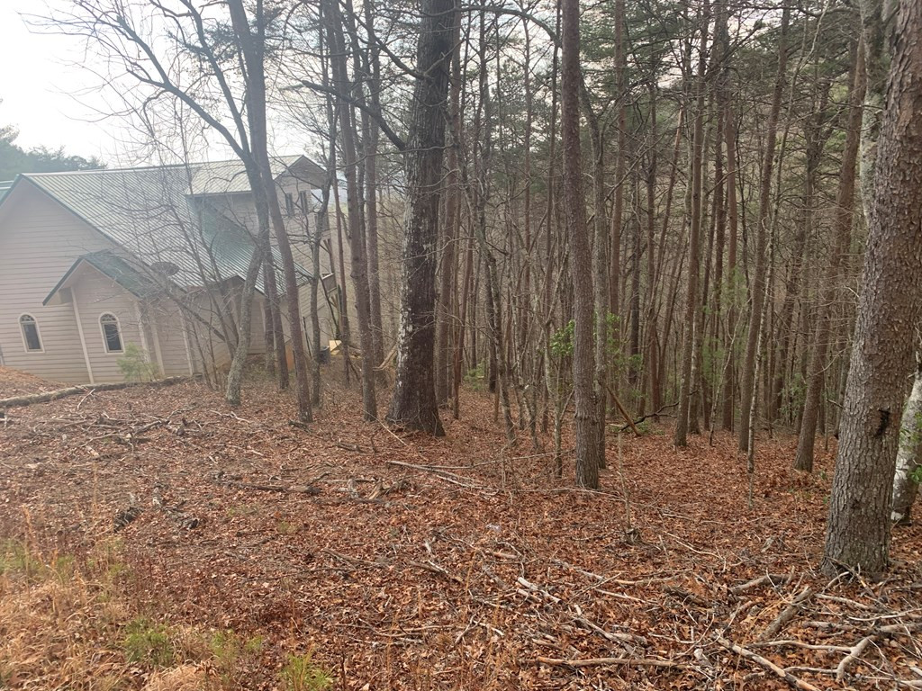 Lot 20 Wolf Ridge Lane Murphy, NC 28906 - Photo 20 of 27