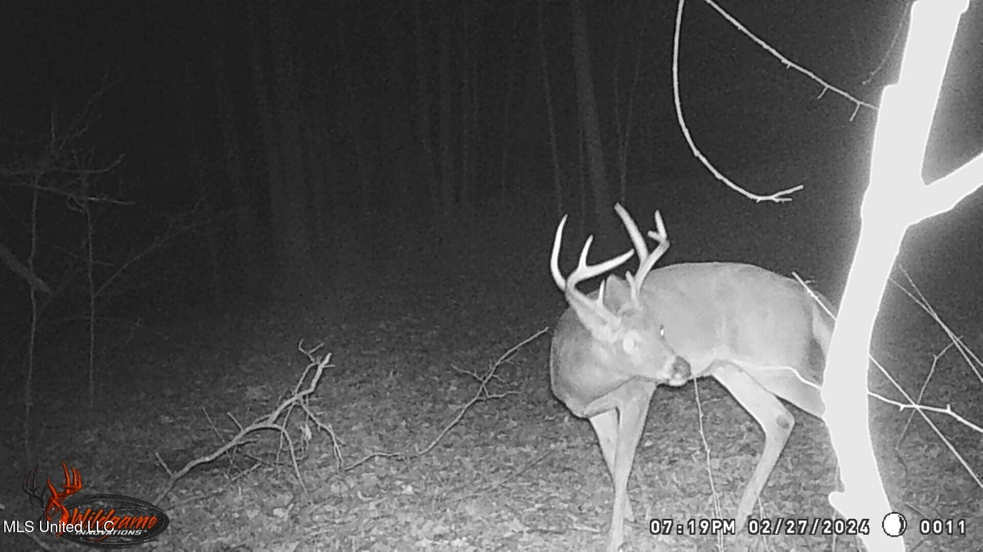 Lot 1 Woodlawn Road Byhalia, MS 38611 - Photo 12 of 12 Woodlawn Ln Lot 1