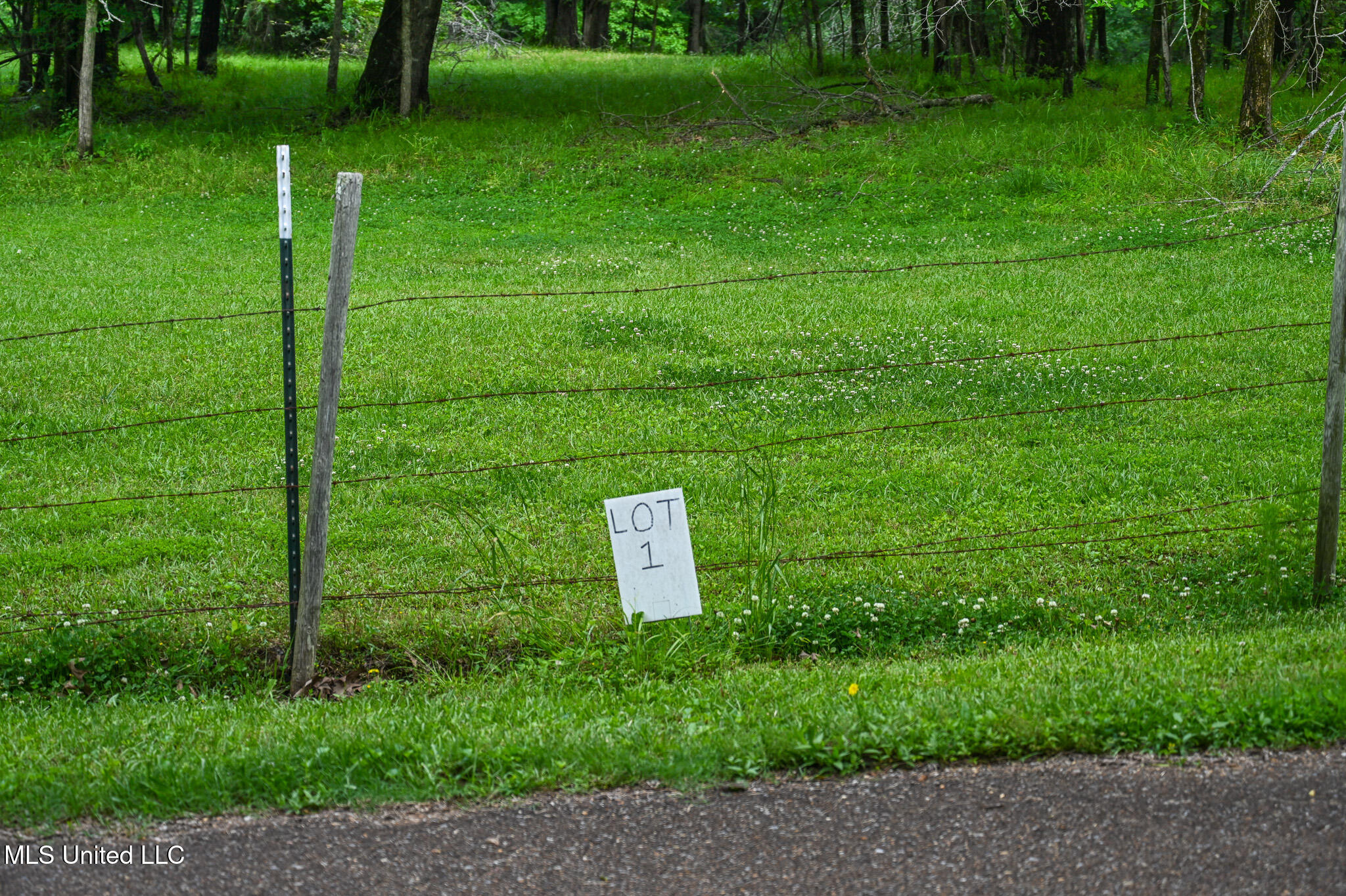 Lot 1 Woodlawn Road Byhalia, MS 38611 - Photo 2 of 12 Woodlawn Ln Lot 1