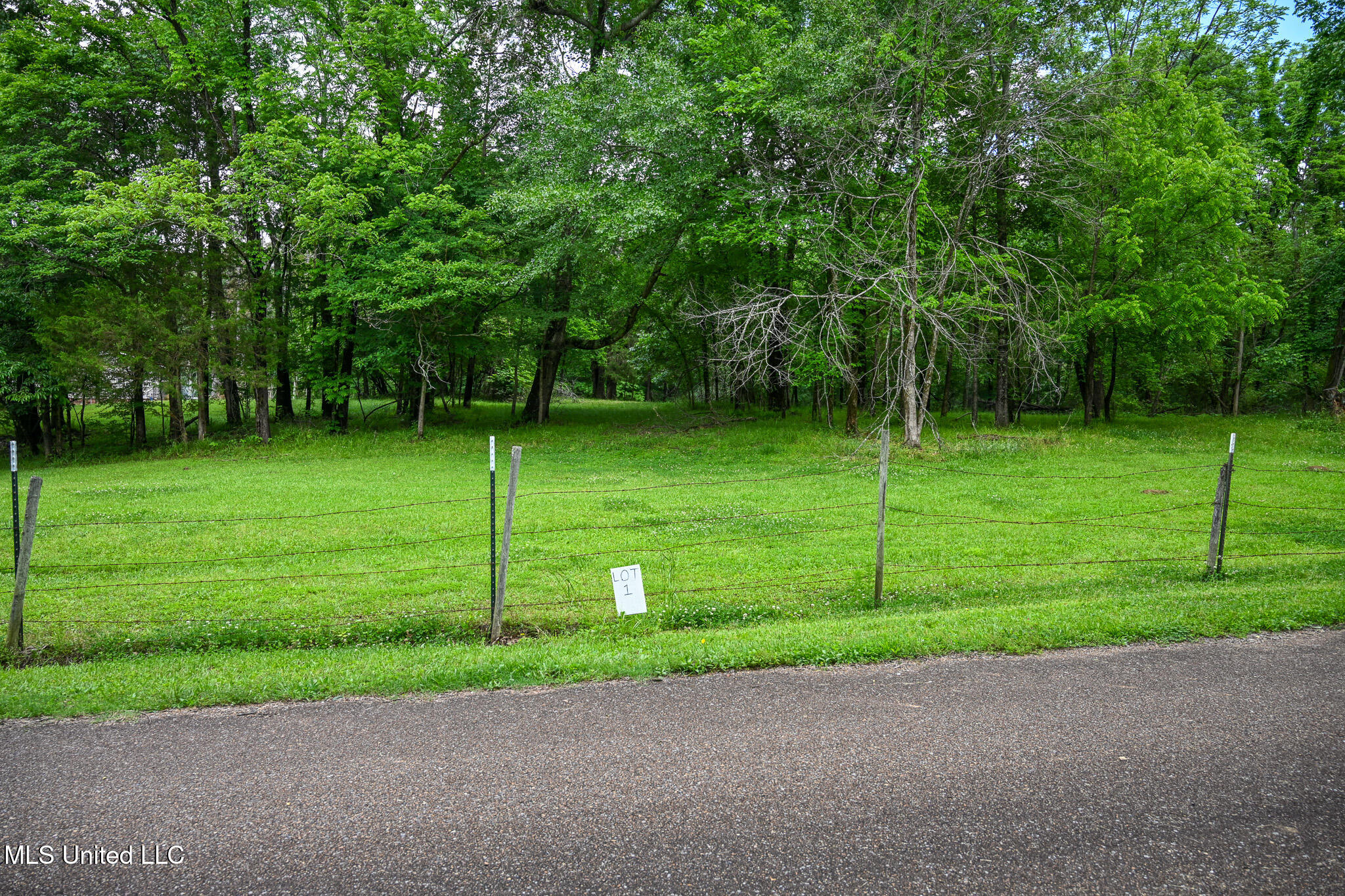 Lot 1 Woodlawn Road Byhalia, MS 38611 - Photo 3 of 12 Woodlawn Ln Lot 1