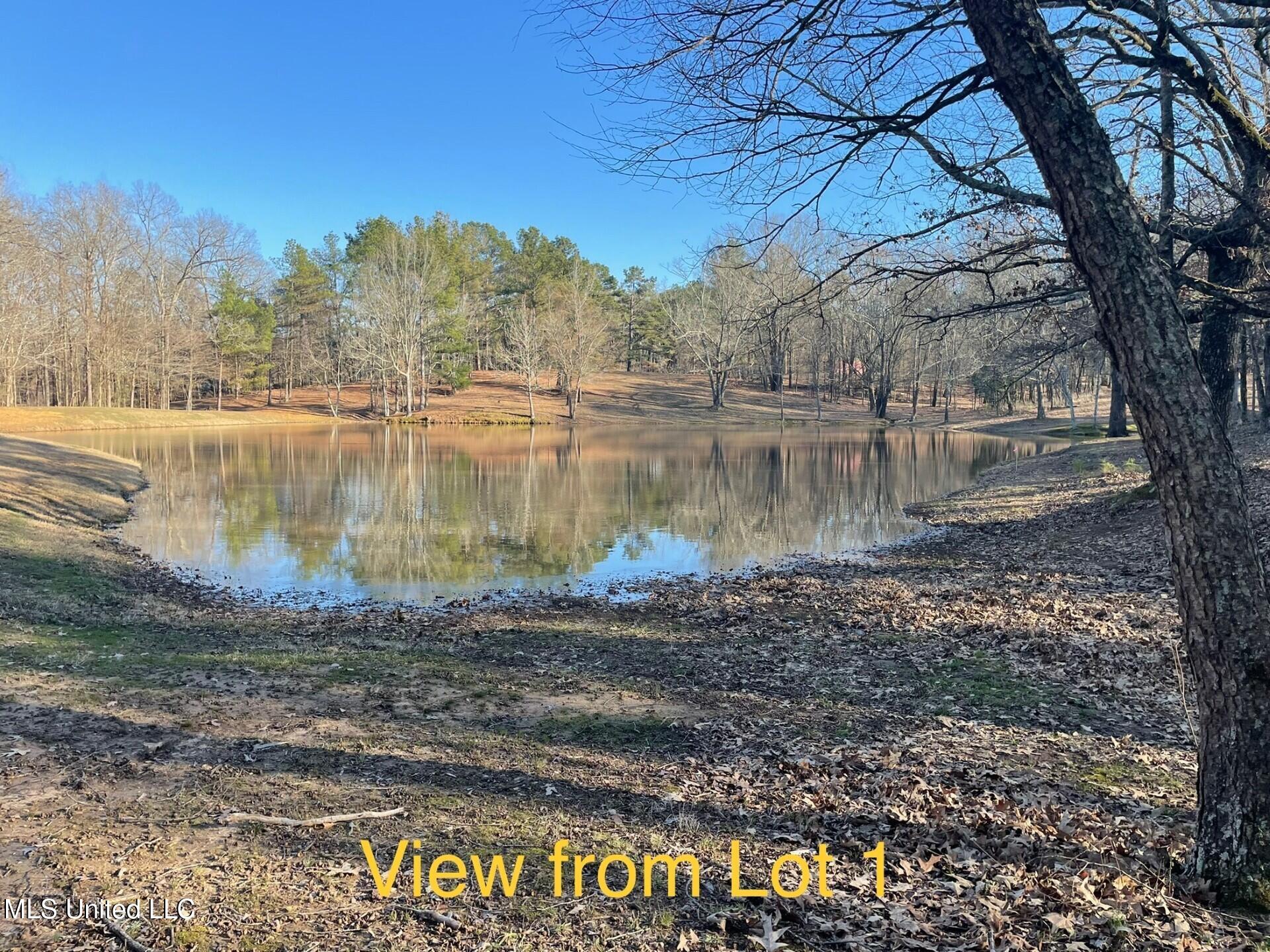 Lot 1 Woodlawn Road Byhalia, MS 38611 - Photo 4 of 12 Woodlawn Ln Lot 1