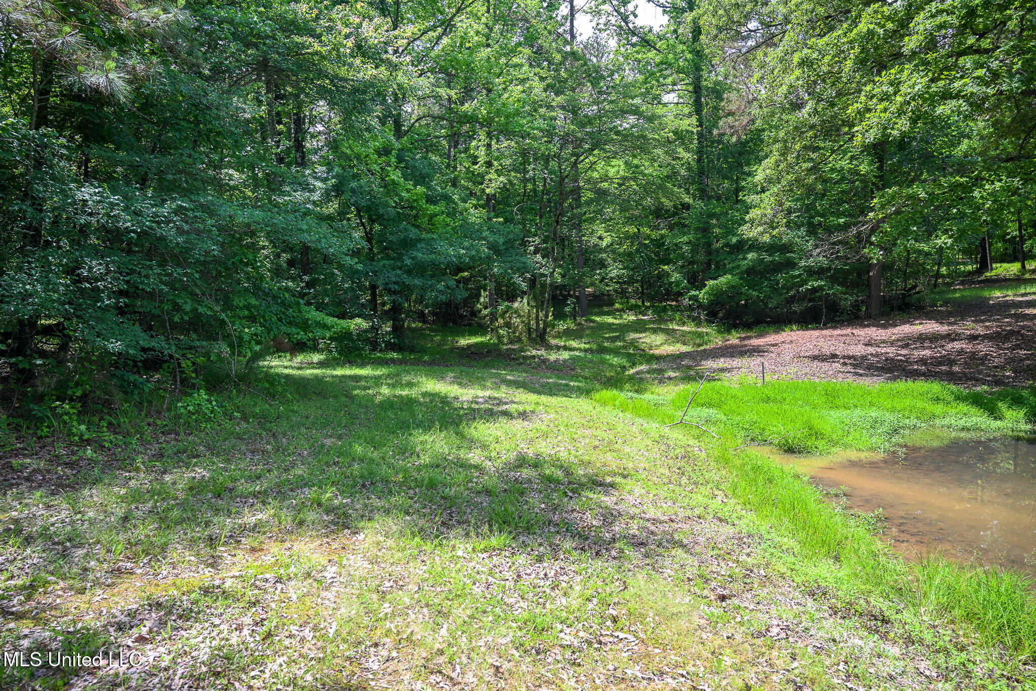 Lot 1 Woodlawn Road Byhalia, MS 38611 - Photo 6 of 12 Woodlawn Ln Lot 1