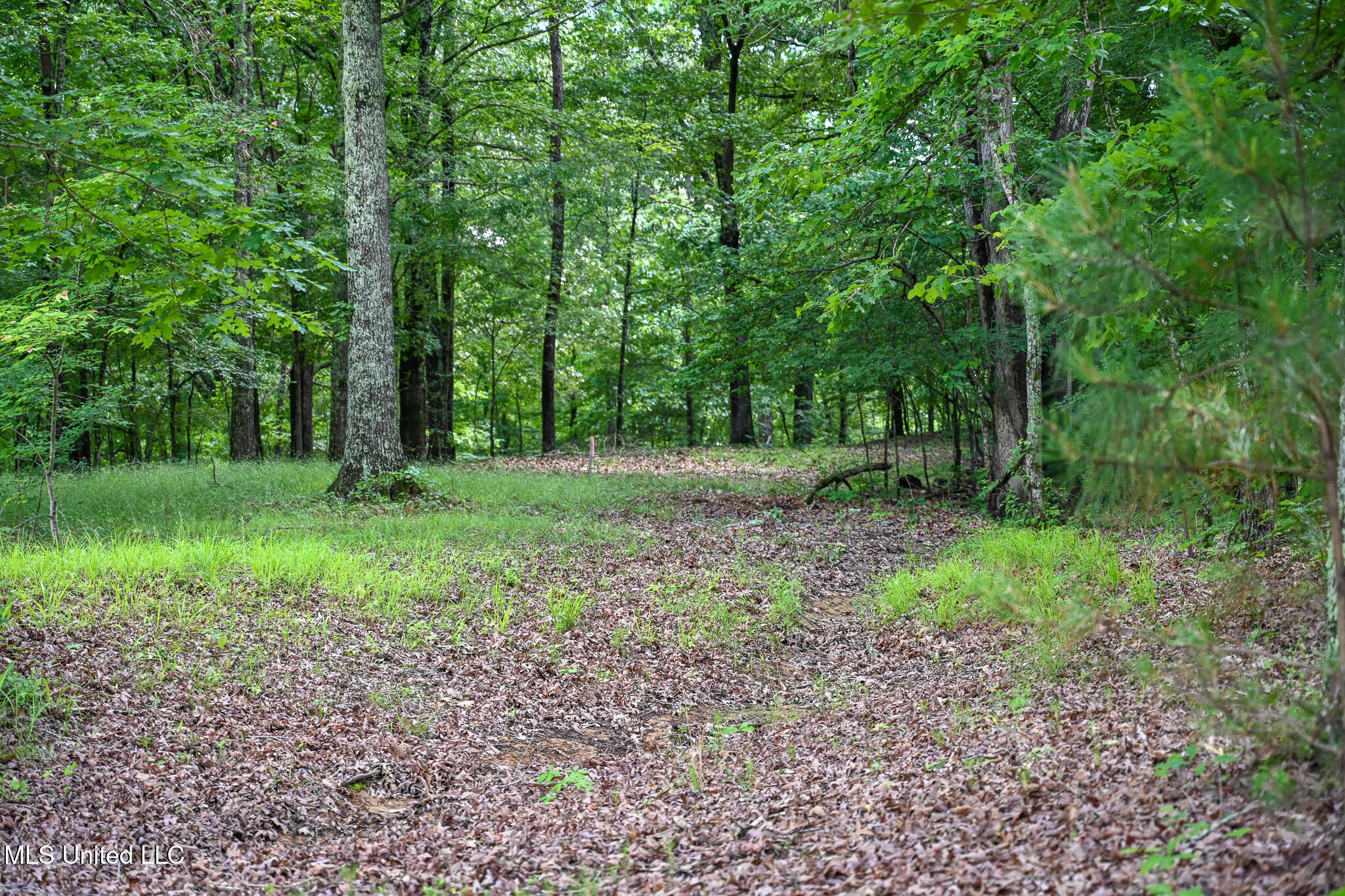 Lot 1 Woodlawn Road Byhalia, MS 38611 - Photo 7 of 12 Woodlawn Ln Lot 1