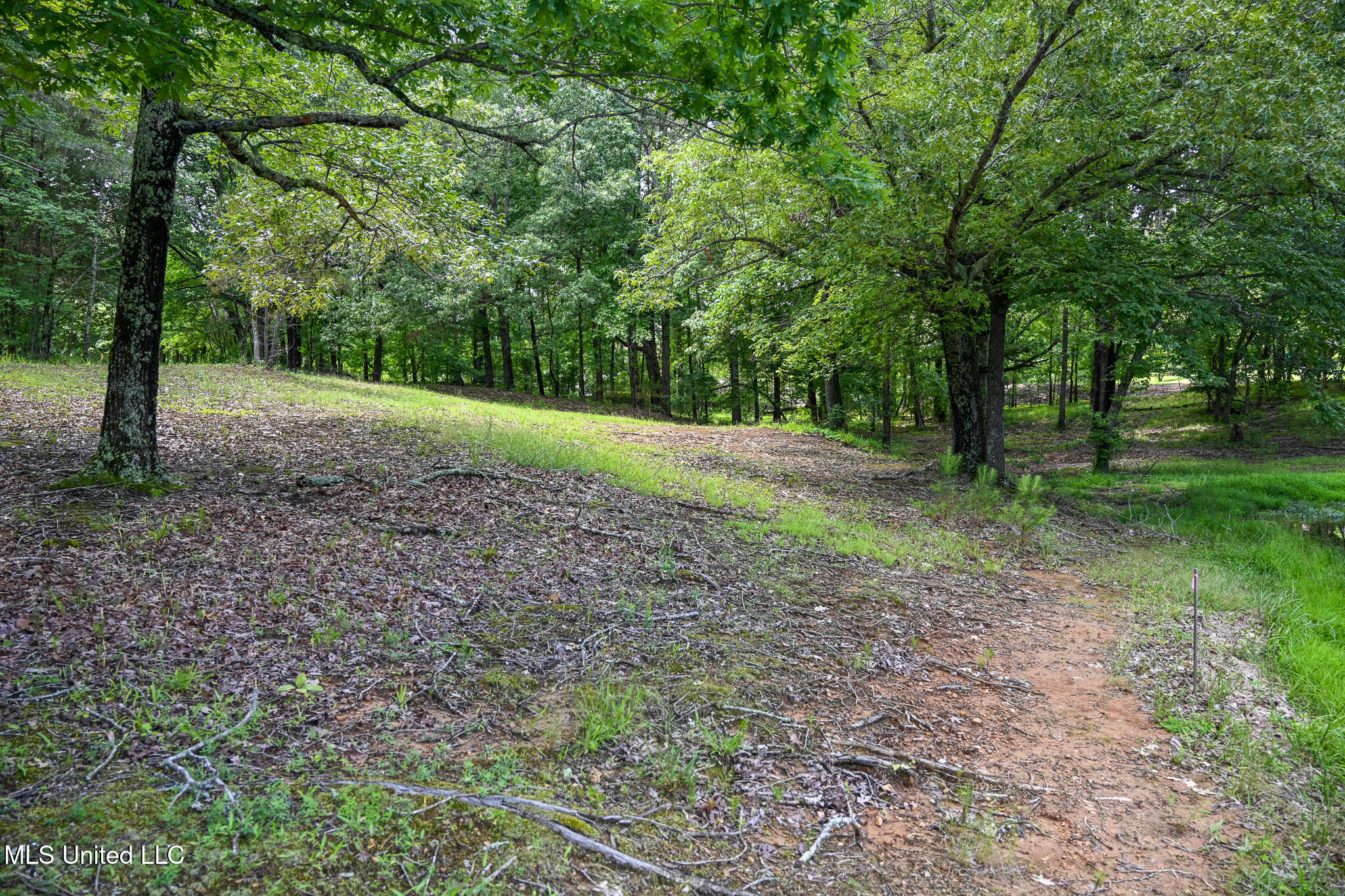 Lot 1 Woodlawn Road Byhalia, MS 38611 - Photo 8 of 12 Woodlawn Ln Lot 1