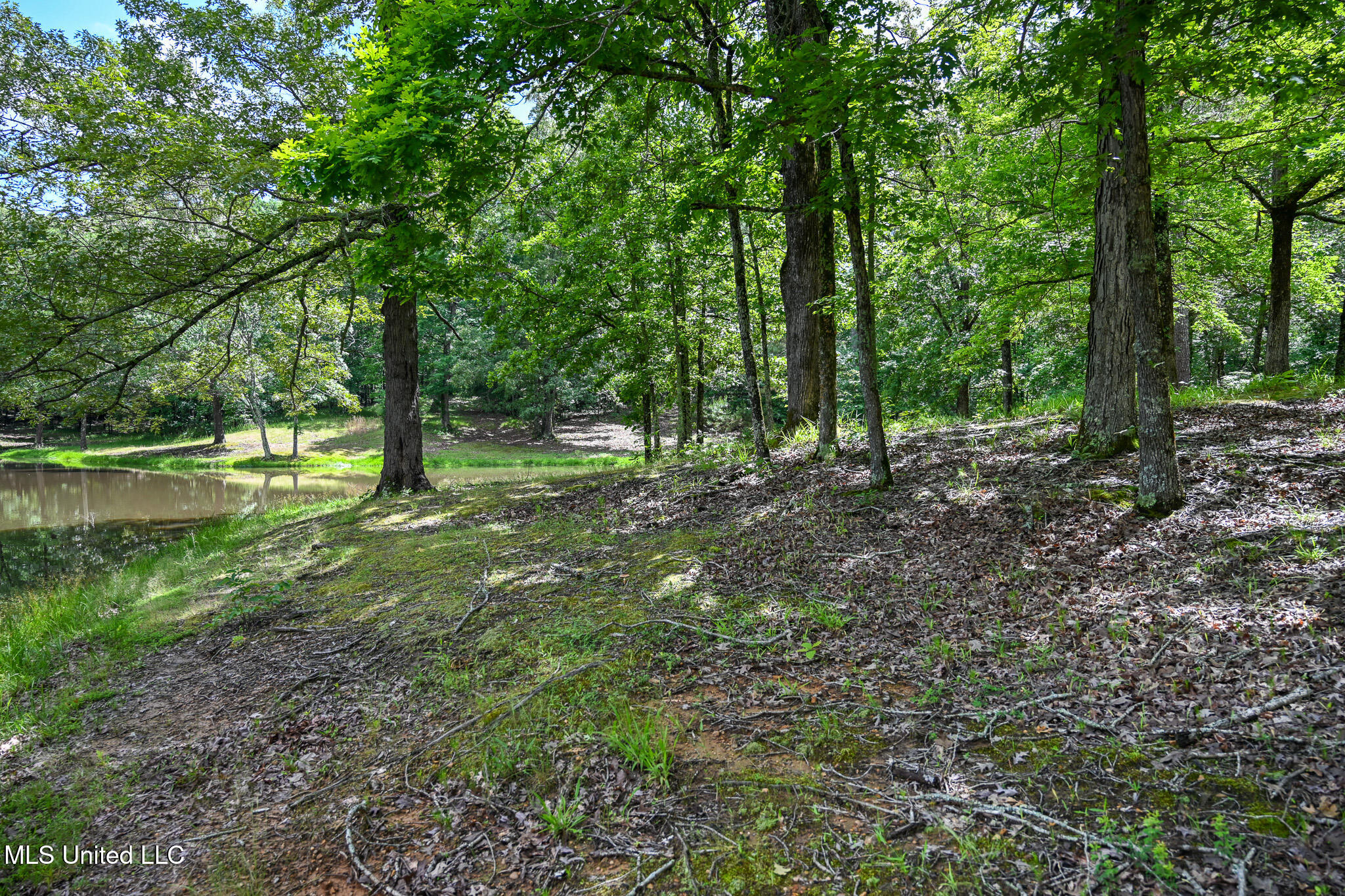 Lot 1 Woodlawn Road Byhalia, MS 38611 - Photo 9 of 12 Woodlawn Ln Lot 1