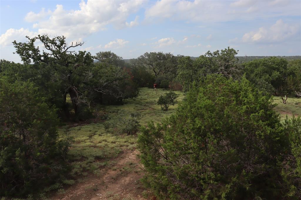1619 Althaus Ranch Road Johnson City, TX 78636 - Photo 6 of 40 a view of a field