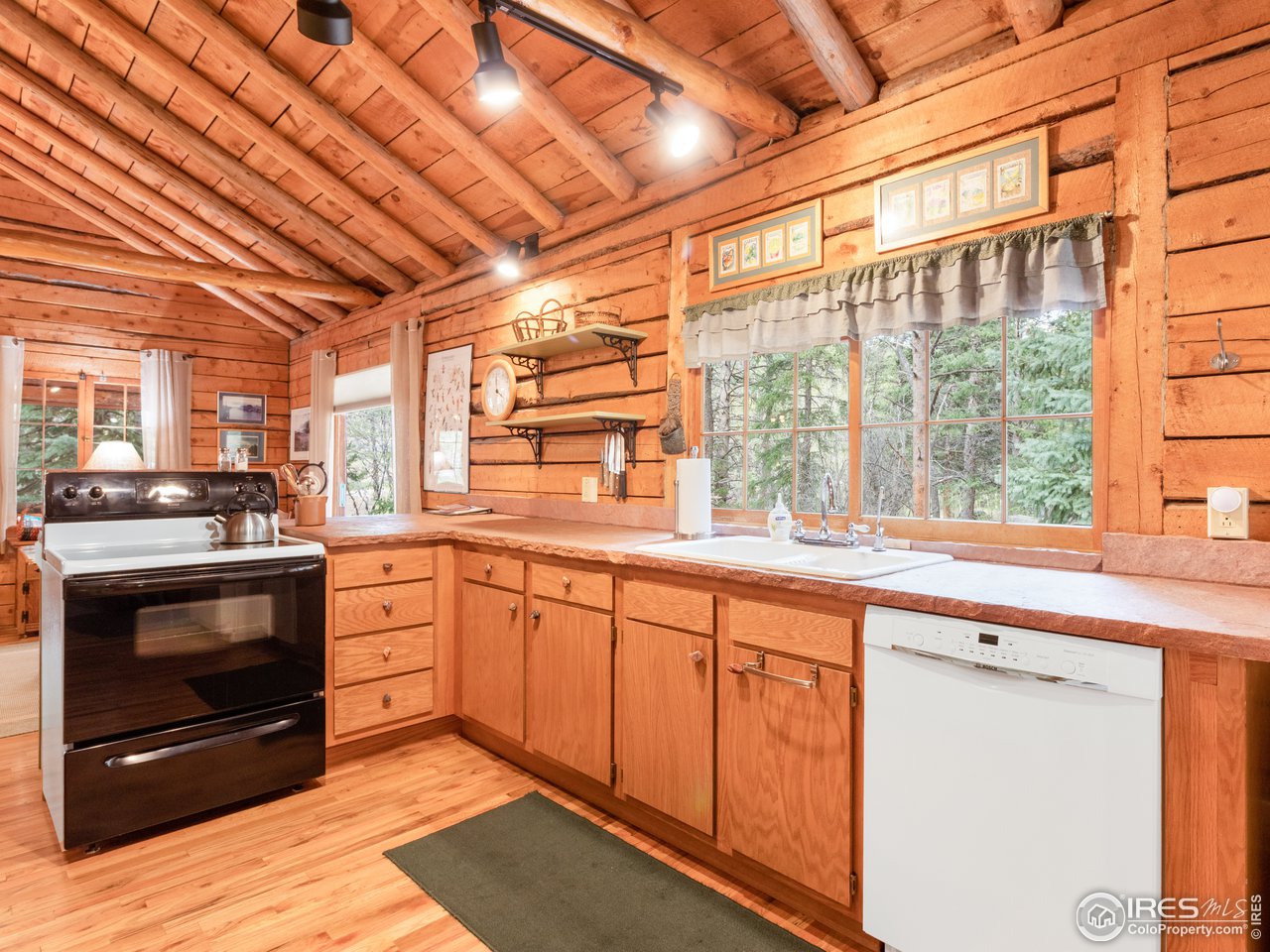 43 Riverside Drive Lyons, CO 80540 - Photo 8 of 20 Kitchen
