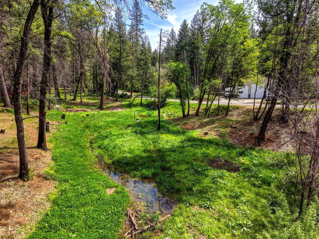 12528 Rattlesnake Road Grass Valley, CA 95945 - Photo 4 of 48