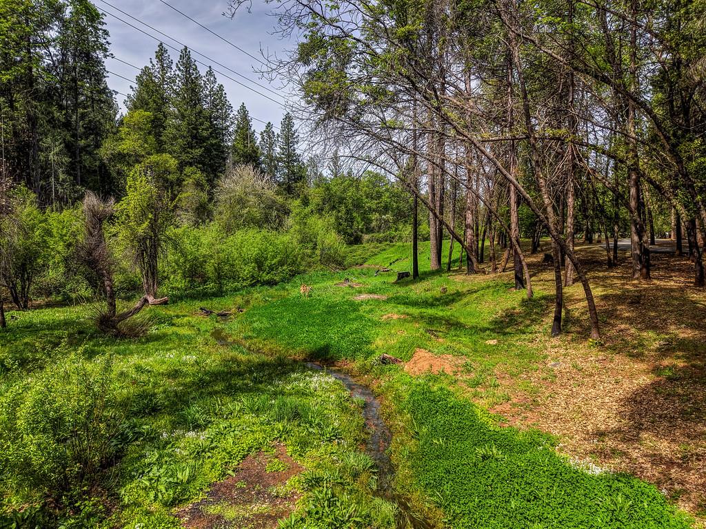 12528 Rattlesnake Road Grass Valley, CA 95945 - Photo 42 of 48