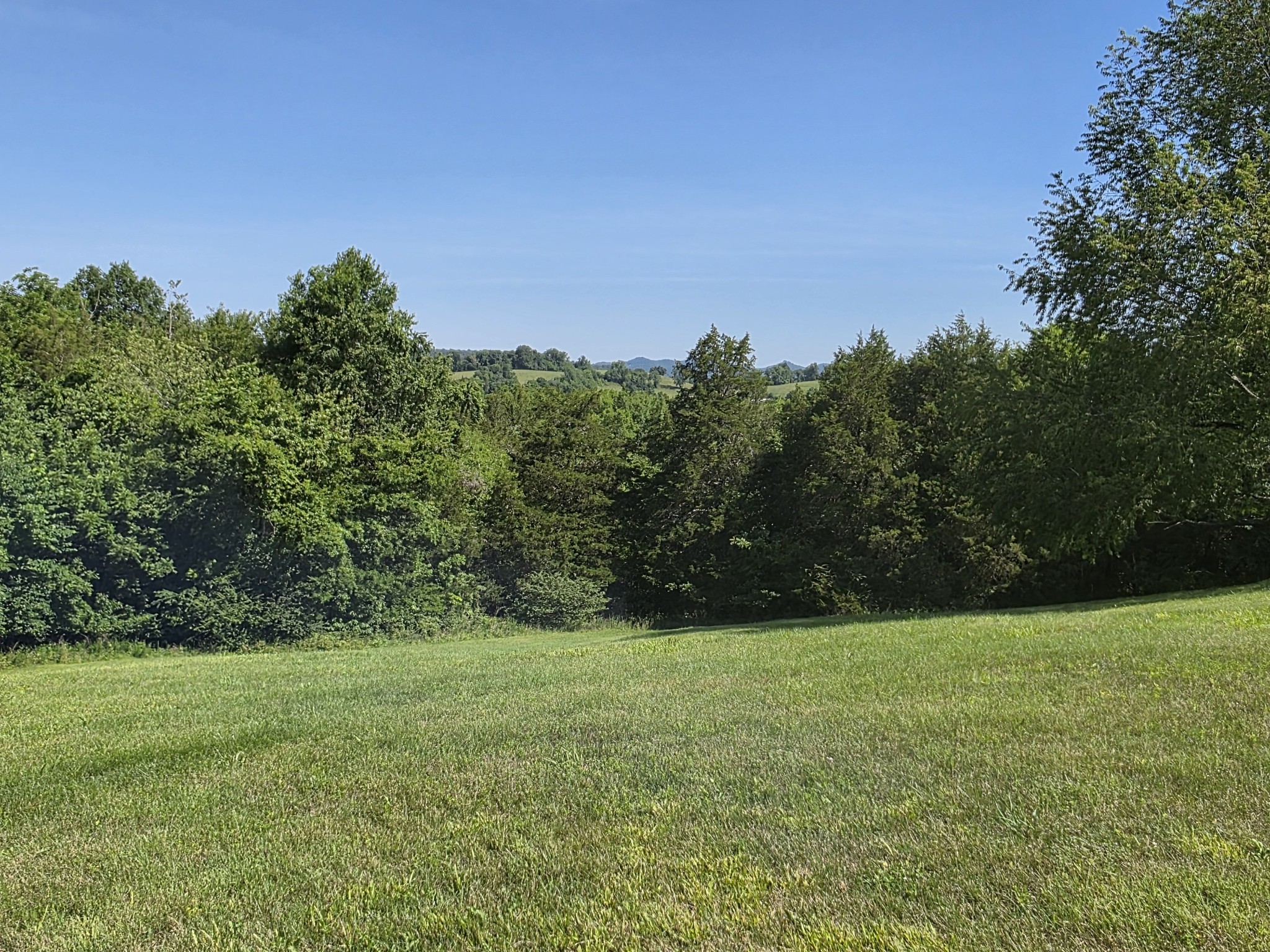 4 Lewis James Lane Riddleton, TN 37151 - Photo 53 of 62 Gallery Image 53