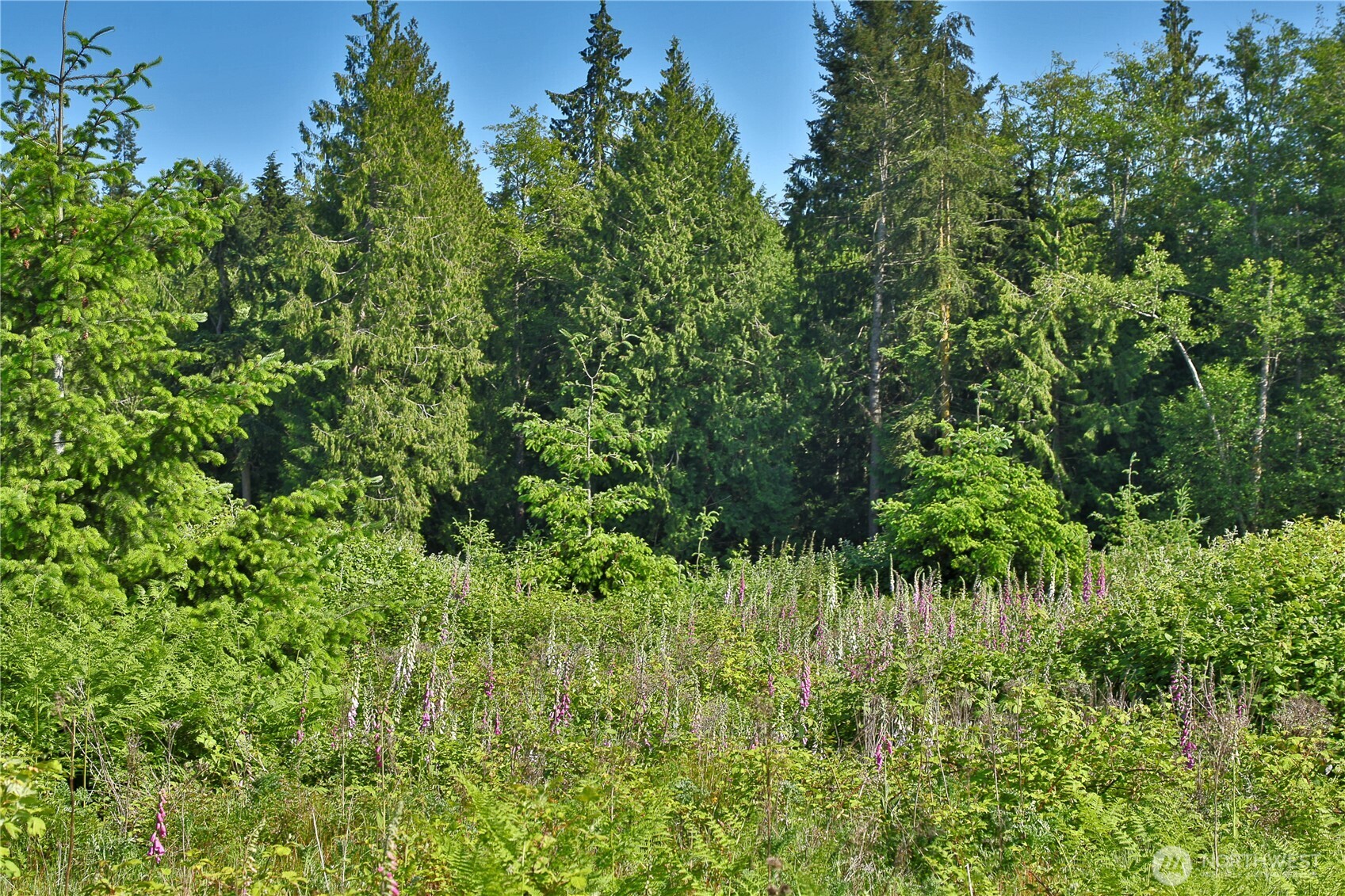 2062 East Goodell Road Freeland, WA 98249 - Photo 16 of 37