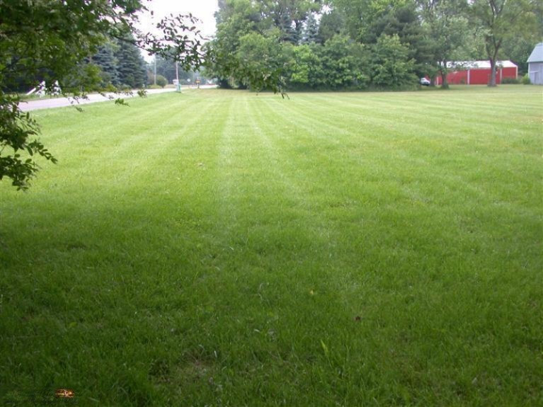 8359 Date Road Bridgman, MI 49106 - Photo 6 of 10 Additional Photo