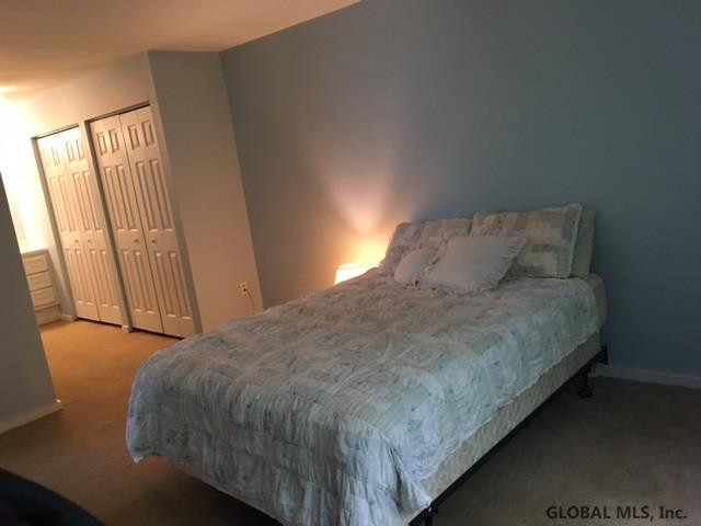 13 Snowberry Road Malta, NY 12020 - Photo 13 of 13 Photo 13
