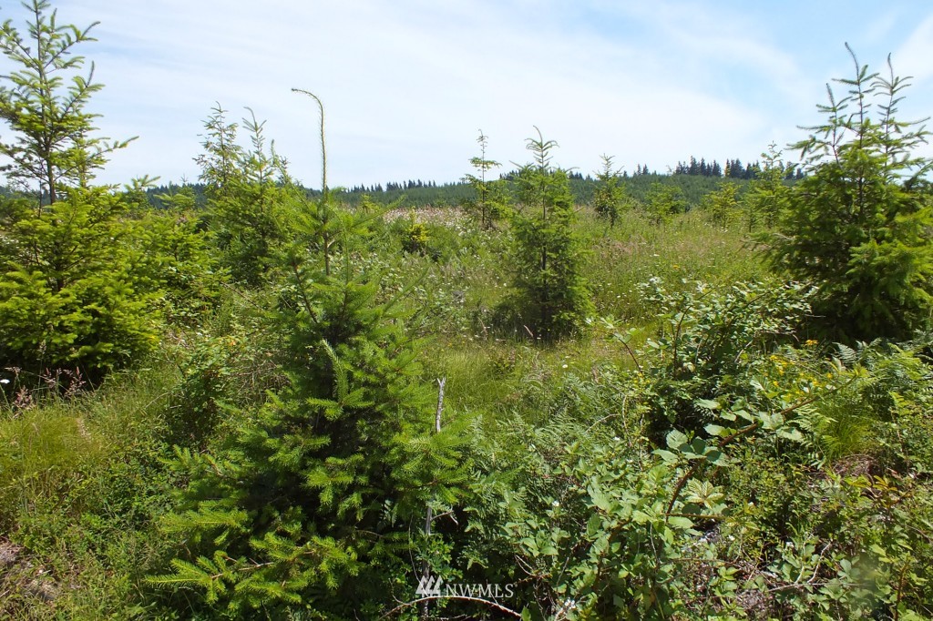 0 Northeast George Road Camas, WA 98607 - Photo 14 of 15